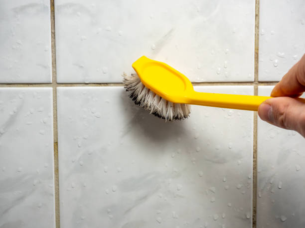 Best Preventive Mold Services in Royalton, IL