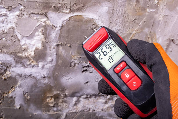 Best Bathroom Mold Remediation in Royalton, IL
