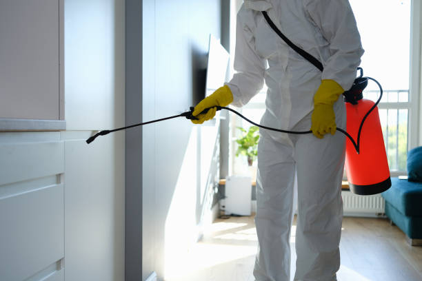 Royalton, IL Mold Remediation Company