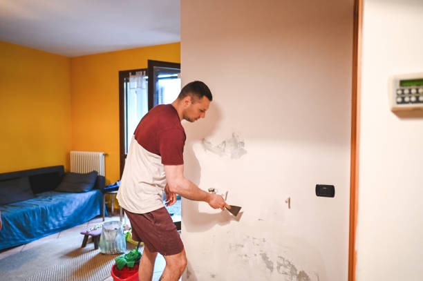 Best Emergency Mold Remediation in Royalton, IL